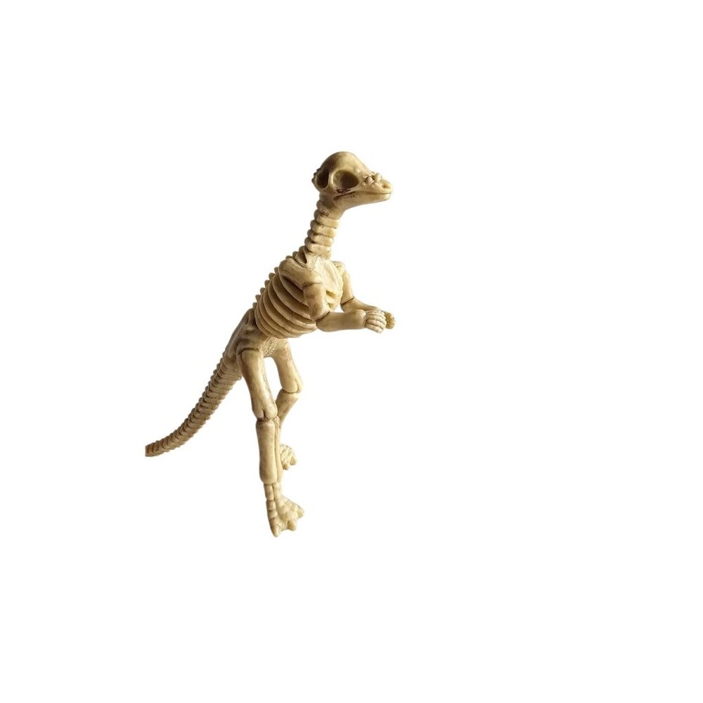 Pachycephalosaurus  Dinosaur Skeleton PVC Figure Model